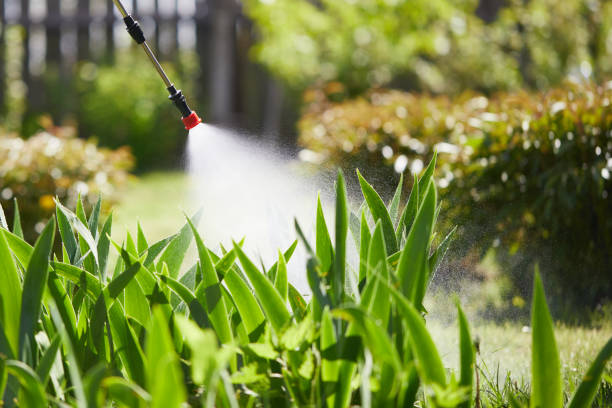 24/7 Emergency Mosquito Control experts in Madison, NJ