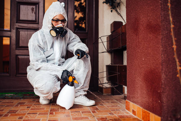Reliable Mosquito Control contractor in Madison, NJ by Show Me Pest Control